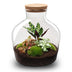 Bottle Garden DIY Kit: Fat Joe Red - 30cm height, no tools required Bild 3