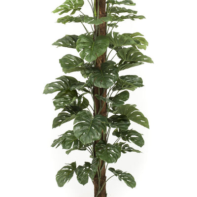 Kunstpflanze Monstera Deliciosa 180 cm - Natürliche Deko für Ihr Zuhause