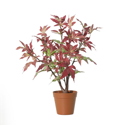 Künstlicher Ahorn Baum, 53cm - Naturgetreu & Pflegeleicht