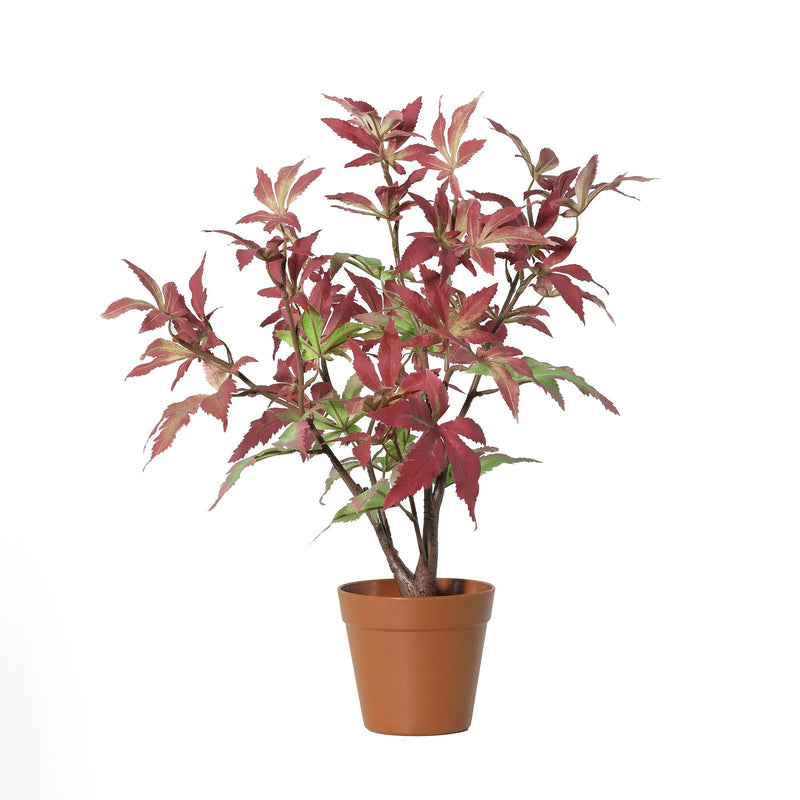 Künstlicher Ahorn Baum, 53cm - Naturgetreu & Pflegeleicht