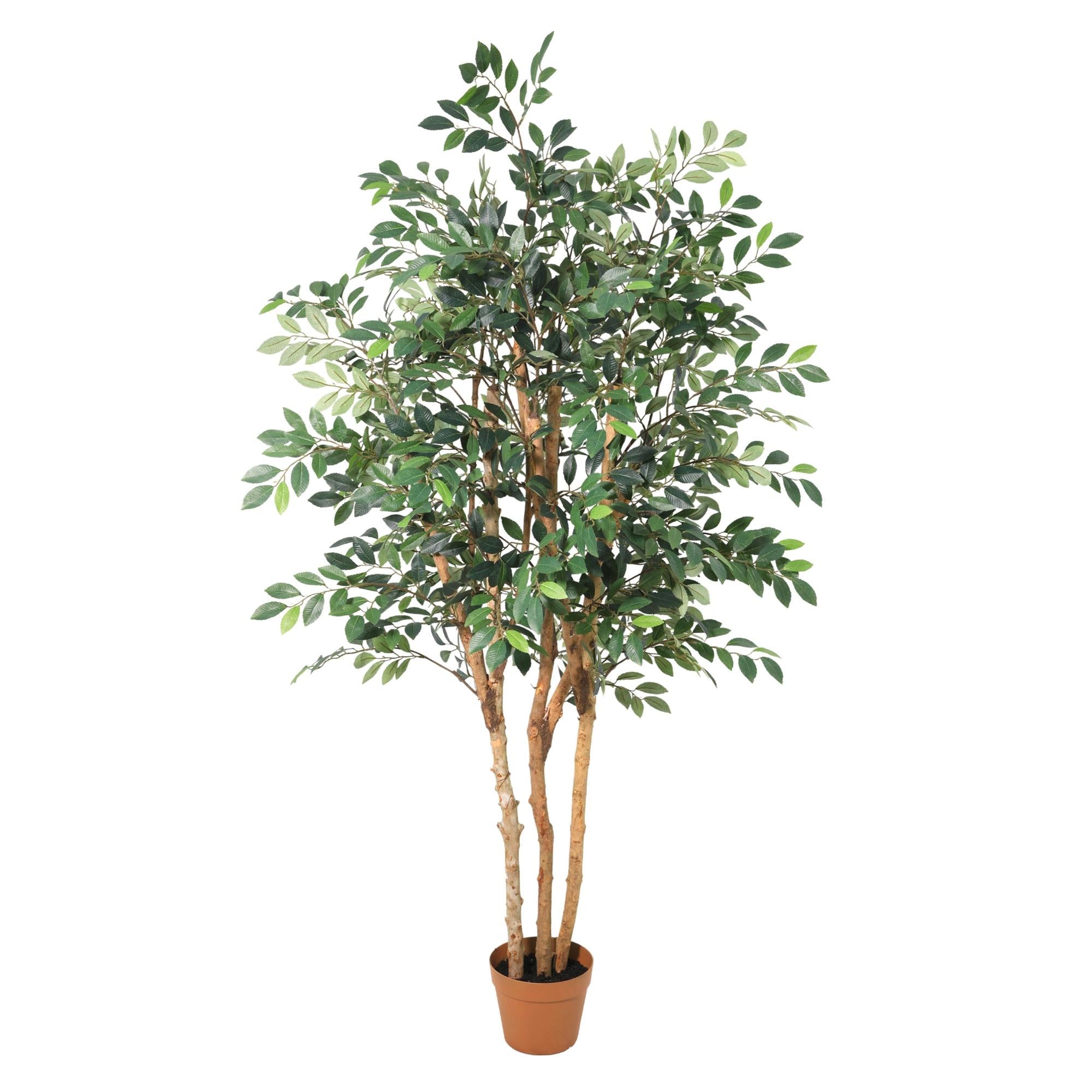 ARTIFICIAL Ficus Exotica - 150cm