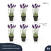 Lavendel - 6 Stück - Kunstpflanzen - Bundle-Set Bild 3