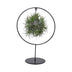 Tillandsia Ring Mix (Medium) - Ø17cm - H30cm Bild 1