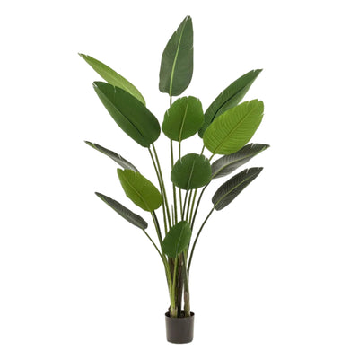 Kunstpflanze Strelitzia Nicolai (Paradiesvogelblume), 190 cm