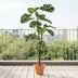 Kunstpflanze Monstera – 180 cm – Grüne Deko für Ihr Zuhause Bild 4
