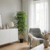 Kunstbambus 150cm – Asiatisches Flair ohne Pflege Bild 3