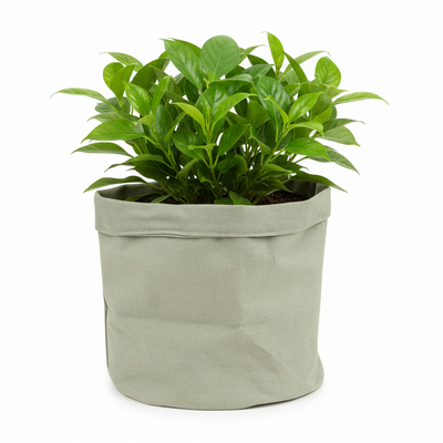 Plant Bag Jade D18 - Robust & Breathable for Healthy Plants