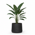 Topf Jumbo Patt Schwarz Gewaschen - D23 x H19 cm Bild 3