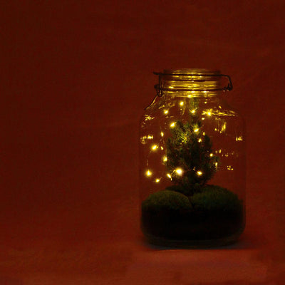 DIY Flaschengarten - Weihnachtsglas - ↕ 28 cm