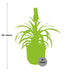 Ananas 'Mi Amigo' im ELHO Vibes Fold Topf 14cm gelb Bild 2