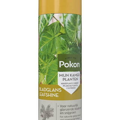 Pokon Blattglanz 250 ml - Natürlicher Glanz für Zimmerpflanzen