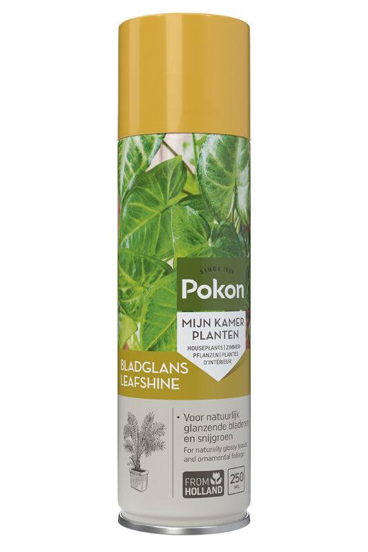 Pokon Blattglanz 250 ml - Natürlicher Glanz für Zimmerpflanzen