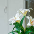 Lilien Mix - 3 Stück - Bündelprodukt - Kunstpflanzen Bild 3