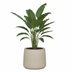 Terracotta Pot Jumbo Patt Beige 34x28 cm - Rustic & Elegant Bild 3