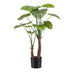 Kunstpflanze – Alocasia – Elefantenohr – 110 cm Bild 1