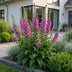 Green boutiQ - Perennials - Digitalis purp. Dalmatian Purple - Foxglove - Shade - Purple - 6 Plants - Pot 11cm - Height 15-25cm Bild 6