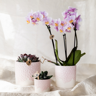Kolibri Home Blumentopf Rosa - Ø12cm: Romantik & Eleganz für Ihr Zuhause