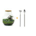 Bottle Garden Set: Teddy - 26.5 cm - DIY Plant Terrarium Bild 1