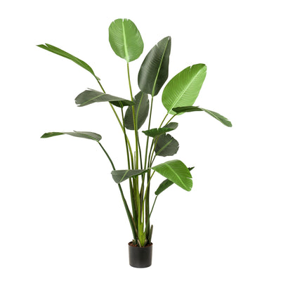 Kunstplant - Strelitzia Nicolai - Paradiesvogelblume -  230cm