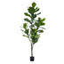 Künstliche Ficus Lyrata 'Tabakpflanze' - 150cm - Pflegeleicht Bild 1