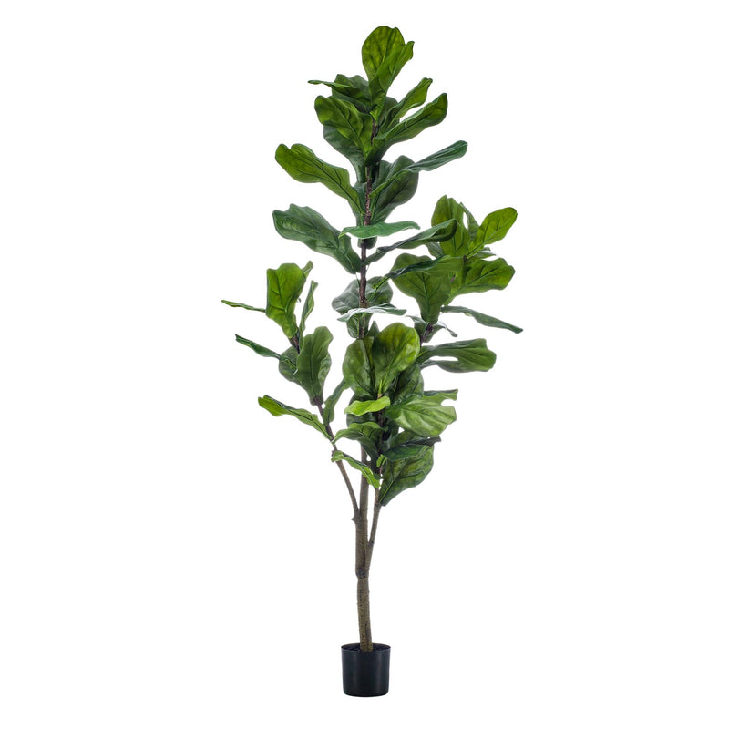 Künstliche Ficus Lyrata 'Tabakpflanze' - 150cm - Pflegeleicht