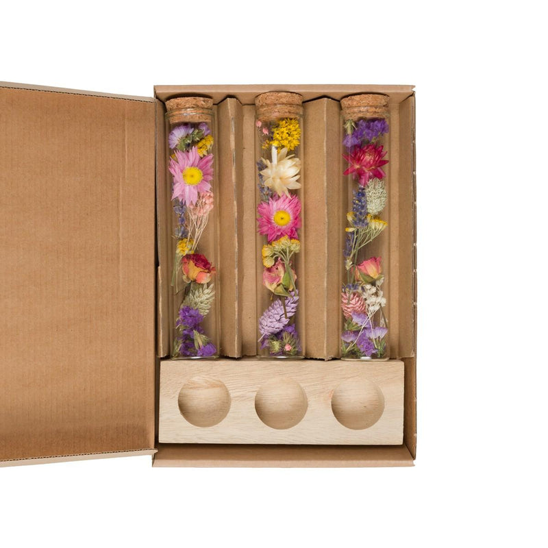 Getrocknete Blumen: Nachricht in einer Box Groß, Mehrfarbig, 8 Stk.
