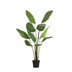 Artificial Strelitzia Nicolai - 180cm: Tropical Flair Without Maintenance Bild 1