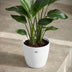 ELHO Brussels Round Plant Pot 25 cm White - Recycled Plastic Bild 5