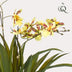 Künstliche Orchidee Gelb/Braun, 45cm – Langlebig & Pflegeleicht Bild 3