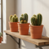 3er Set Cereus-Kakteen im Terrakotta-Topf (10,5 cm) Bild 6