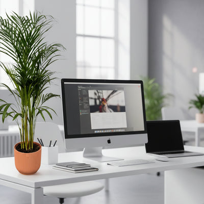 Areca-Palme 110cm im elho Vibes Fold Round Topf (rosa)