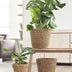Korb Jip Natur M - Hellbraun, Seegras Blumentopf Bild 3
