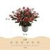 GreenboutiQ - Terrassenpflanze - Skimmia japonica Rubella - Boem Rot - 15+ Blüten - 3 Pflanzen - Winterhart - Topf 15cm Höhe 30cm Bild 3