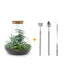 Bottle Garden Sam XL: DIY Plant Terrarium 35cm, incl. Tools & Instructions Bild 1
