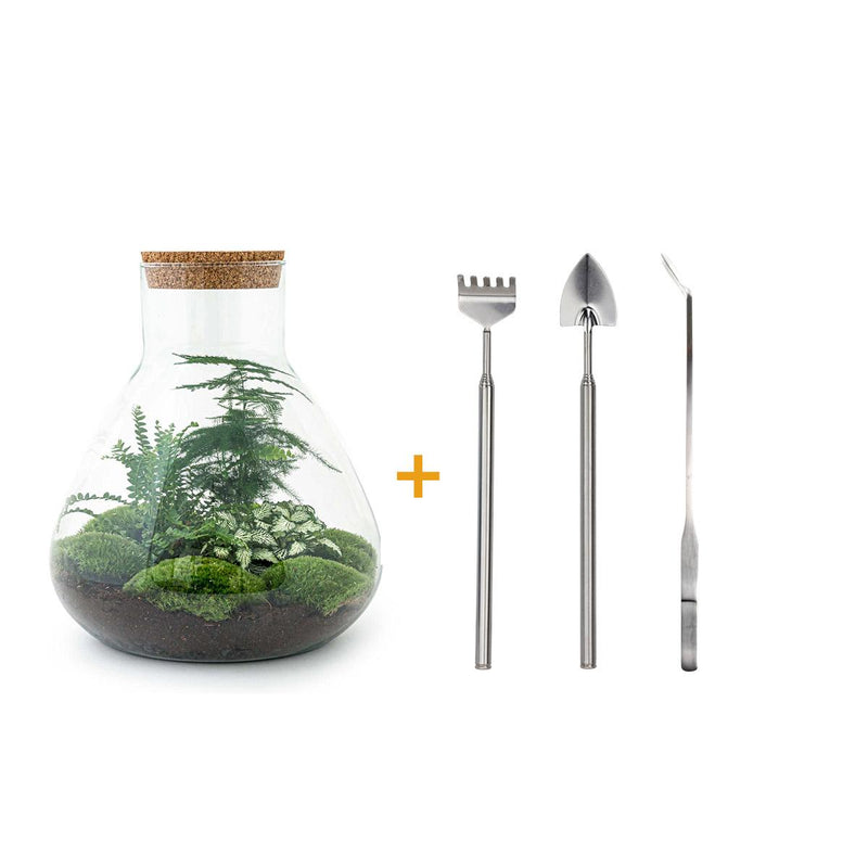 Bottle Garden Sam XL: DIY Plant Terrarium 35cm, incl. Tools & Instructions