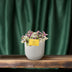 Tradescantia Sweetness 10,5cm - Ø10,5cm - ↕10cm Bild 3