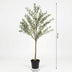Künstlicher Olivenbaum, 172 cm – Mediterranes Flair ohne Pflege Bild 2