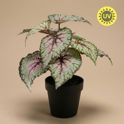UV-beständige Kunstbegonie 26 cm – Pflegeleicht, für Innen & Außen