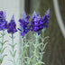 Lavendel 3 Stück - Kunstpflanzen - Bündel Bild 3