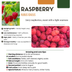 „Früchteparadies“ BIO Obstpflanzen-Mix – Set mit 4 verschiedenen Sorten Bild 11