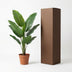Kunst Philodendron Jungle King - 45cm | Tropischer Flair ohne Aufwand Bild 6