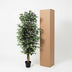 Kunst Ficus Benjamina 180cm – Natürliche Deko ohne Pflege Bild 6