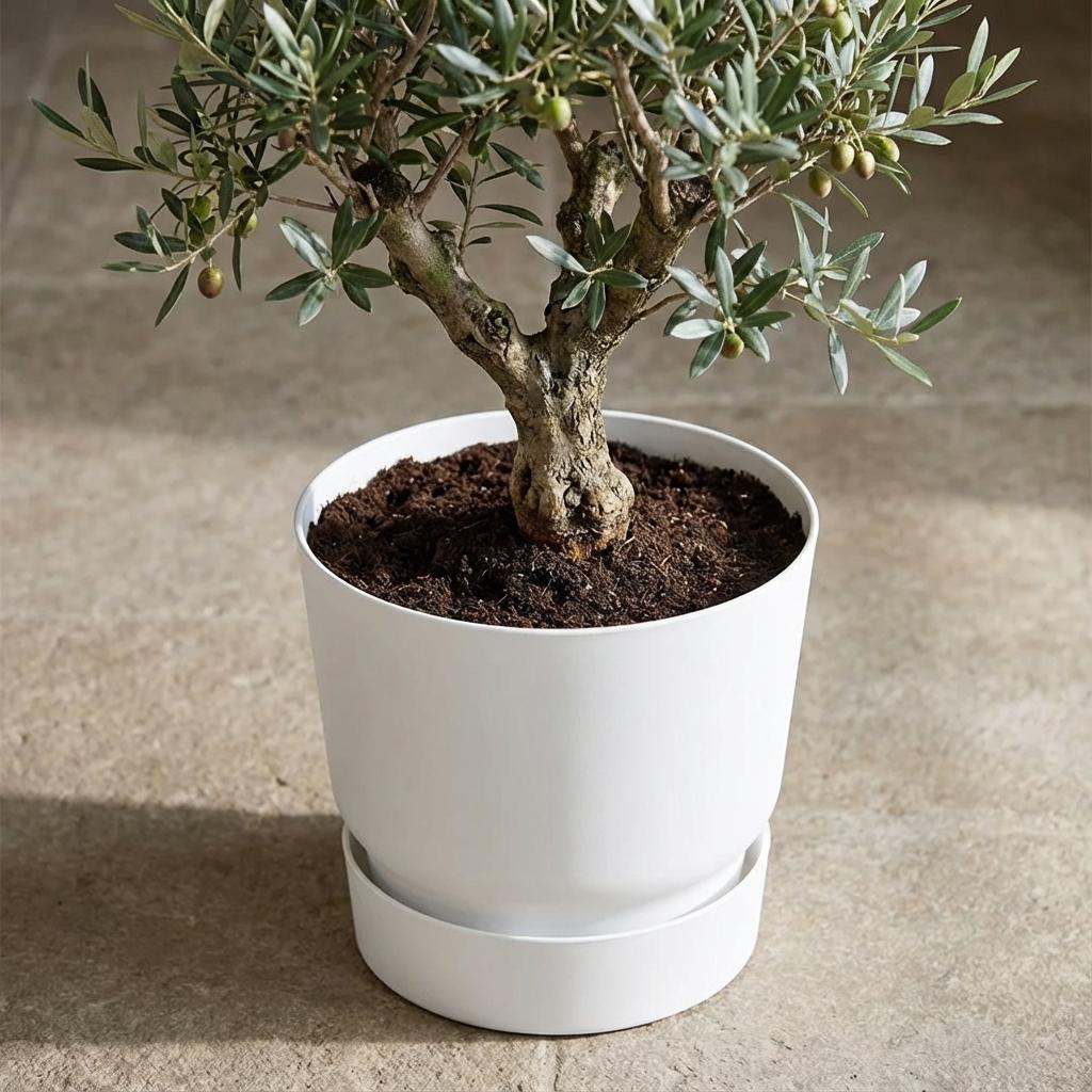 Elho greenville round 30 cm white - D30cm