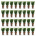 Green boutiQ - 40x Euonymus japonica Green Spire - Pfaffenhütchen - Heckenpflanzen - Immergrün - Grün - Topf 9cm - Höhe 20-25cm Bild 10