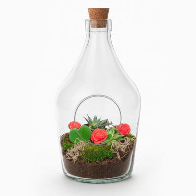 Liebe in einer Flasche - DIY Offenes Pflanzenterrarium - Ø 16 cm ↑ 30 cm