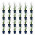 Green boutiQ - Grasses - Cortaderia sell. Pumila - Dwarf Pampas Grass - With Plume - Grey - 24 Plants - 11cm Pot - Height 15-25cm Bild 2