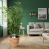 Chamaedorea Elegans - Ø14cm - ↕55cm Bild 3