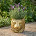 Blumentopf Löwe Gold D11/13×10 cm – Eleganter Deko-Übertopf Bild 5