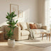 Dracaena Janet Lind, 150-160 cm, Topfgröße Ø24 Bild 3
