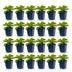 Green boutiQ - Perennials - Digitalis purp. Dalmatian Purple - Foxglove - Shade - Purple - 24 plants - Pot 11cm - Height 15-25cm Bild 2